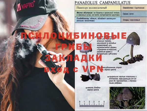 кокаин колумбия Верея